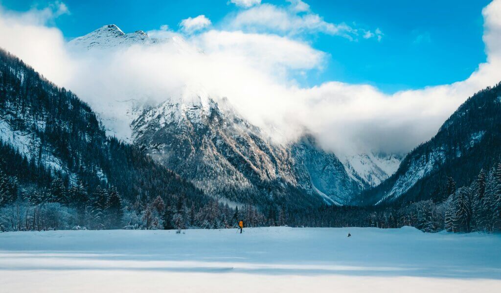 french alps