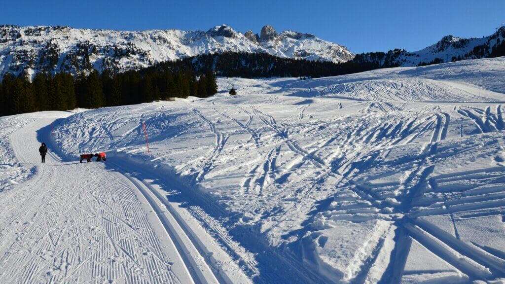 french alps